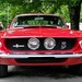 Shelby Brown Photo 12