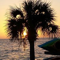 Debra Goforth Photo 12