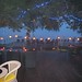 Deborah Fox Photo 34