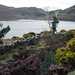 Heather Lough Photo 11