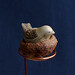 Ruth Bird Photo 30