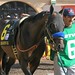 Richard Paddock Photo 18