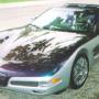 Michelle Gates Photo 38