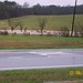 Susan Snead Photo 26