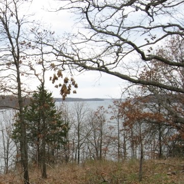 Don Clements Photo 31