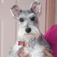 Ernest Poole Photo 8