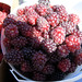Christine Berry Photo 42