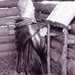 Joseph Deer Photo 17