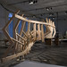 Norbert Lange Photo 19