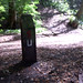 Su Park Photo 20
