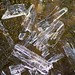 Crystal Byers Photo 30