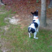 Chester Godwin Photo 6