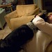 Laura Otis Photo 30