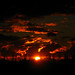 Rodolfo Garcia Photo 45