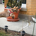 Sandy Hunt Photo 25