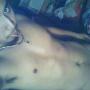 Henry Ruiz Photo 46