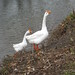 Lisa Goad Photo 12