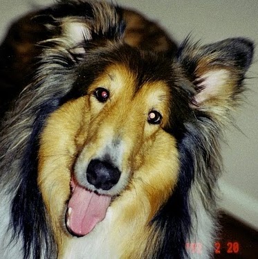 Allison Kane Photo 14