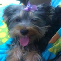 Lisa Sundstrom Photo 5