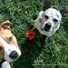 Lela Foster Photo 8