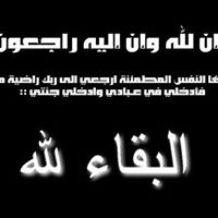 Mohammad Salem Photo 12