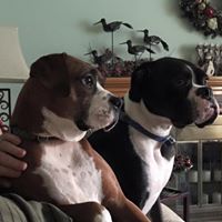 Connie Inman Photo 19