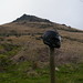 Norman Thoms Photo 7