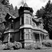 Eugene Johnson Photo 12