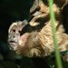 Martin Hunt Photo 18
