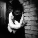 Edward Hyde Photo 13