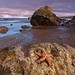 Ruby Gray Photo 11