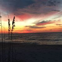 Cathy Bowden Photo 7