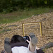 Janice Harder Photo 11