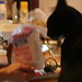 Kitty Cook Photo 18