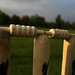 Jonathan Stump Photo 9