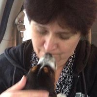 Cheryl Thurston Photo 13