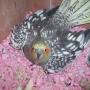 Judy Herzog Photo 23