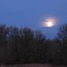 Dorothy Moon Photo 20