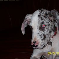 Elizabeth Maddy Photo 19