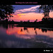 Carl Summers Photo 17
