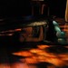Deborah Emerson Photo 19