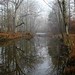 Russell Adair Photo 7