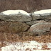 Haley Wall Photo 23