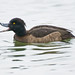 Sandy Parks Photo 24