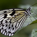 Lindsay Symonds Photo 1