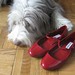 Steve Madden Photo 49
