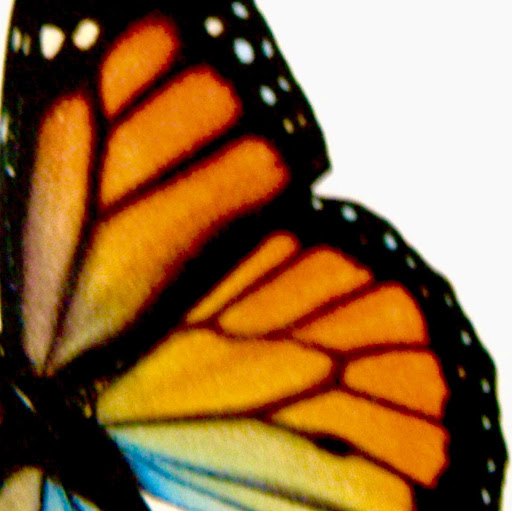 Janet Fuller Photo 25