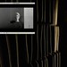 Chris Marker Photo 17