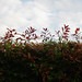 Linda Bush Photo 37