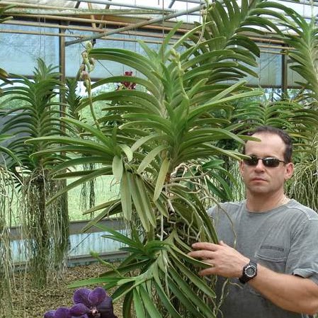 Michael Liberatore Photo 10